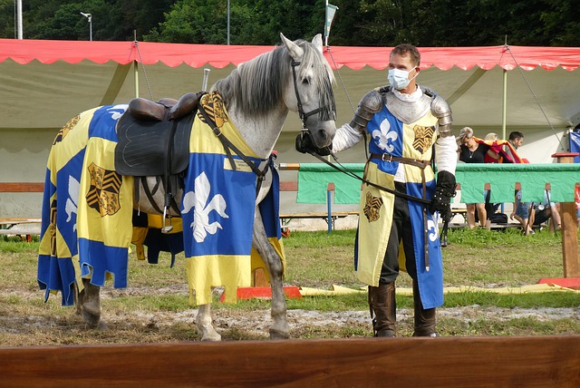 显得略显孤 显得略显孤