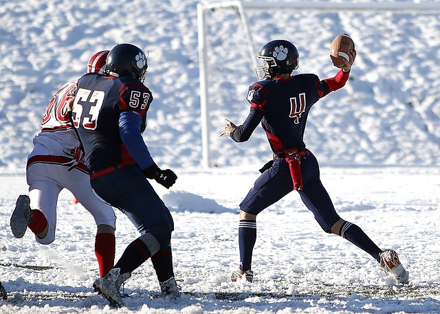 了整个世界 了整个世界