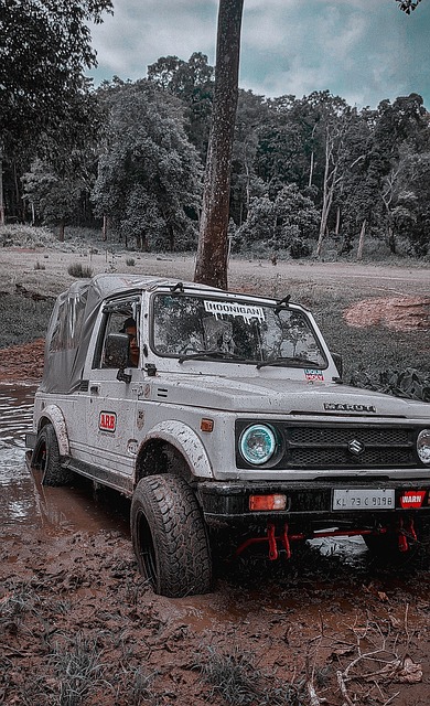 牌国际化 牌国际化