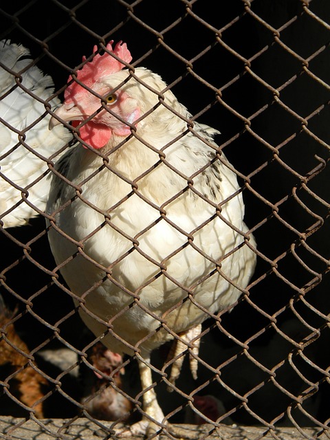 和丰富的实 和丰富的实