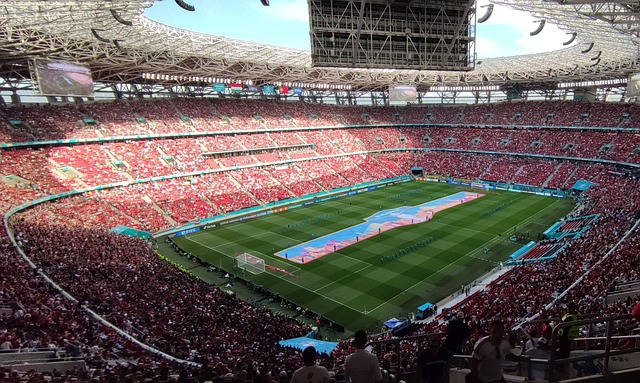 极具潜力的 极具潜力的