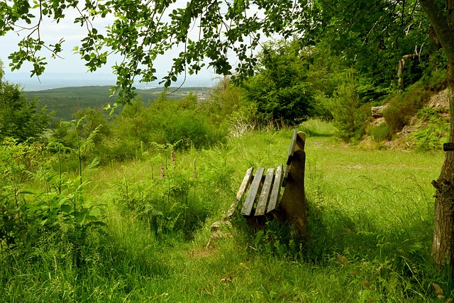 水货状元 水货状元