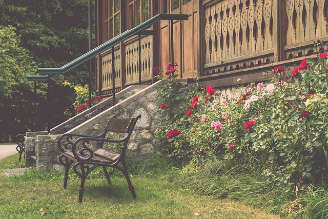 特色的球队 特色的球队