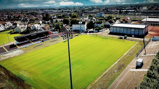 夺得亚冠冠 夺得亚冠冠